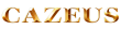 cazeus sports betting offers